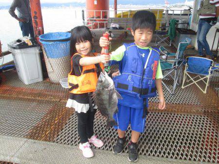 尼崎市立魚つり公園 釣果