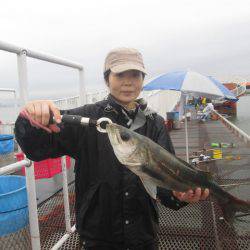 尼崎市立魚つり公園 釣果