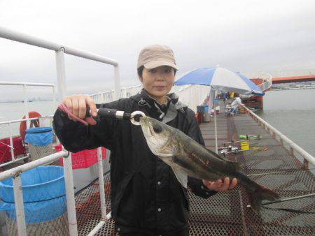 尼崎市立魚つり公園 釣果