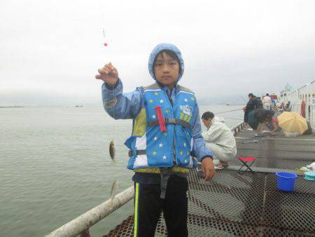 尼崎市立魚つり公園 釣果