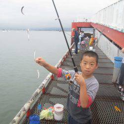 尼崎市立魚つり公園 釣果