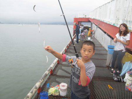 尼崎市立魚つり公園 釣果