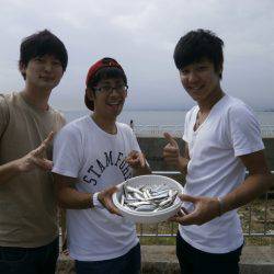 大阪南港海つり公園 釣果