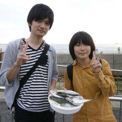 大阪南港海つり公園 釣果