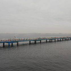 オリジナルメーカー海づり公園(市原市海づり施設) 釣果