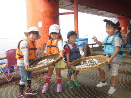 尼崎市立魚つり公園 釣果