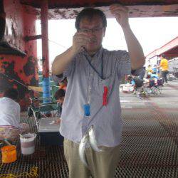 尼崎市立魚つり公園 釣果