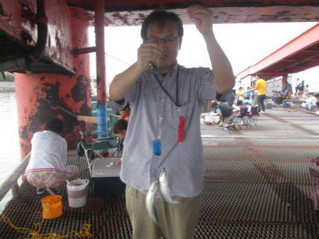 尼崎市立魚つり公園 釣果