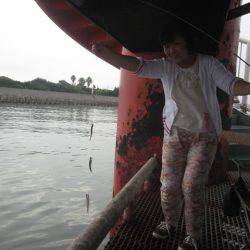 尼崎市立魚つり公園 釣果