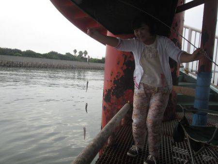 尼崎市立魚つり公園 釣果