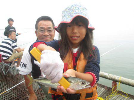 尼崎市立魚つり公園 釣果