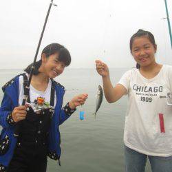 尼崎市立魚つり公園 釣果