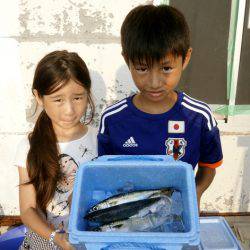 大阪南港海つり公園 釣果