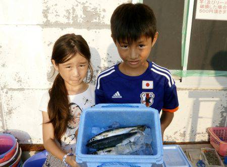 大阪南港海つり公園 釣果
