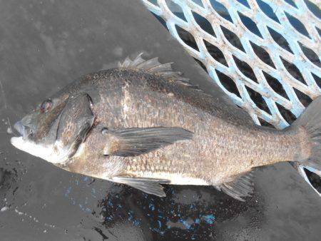 オリジナルメーカー海づり公園(市原市海づり…