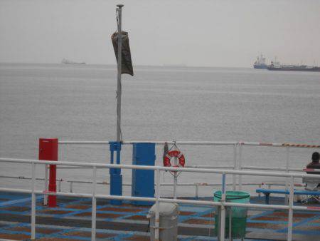 オリジナルメーカー海づり公園(市原市海づり施設) 釣果