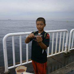 大阪南港海つり公園 釣果