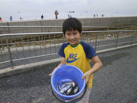 大阪南港海つり公園 釣果