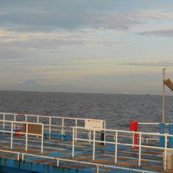 オリジナルメーカー海づり公園(市原市海づり施設) 釣果