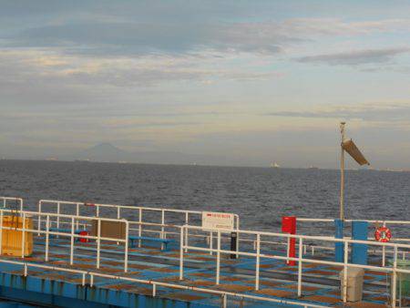 オリジナルメーカー海づり公園(市原市海づり施設) 釣果