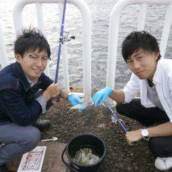 大阪南港海つり公園 釣果