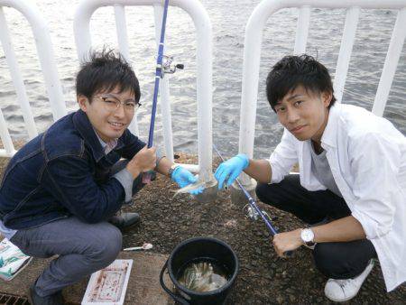 大阪南港海つり公園 釣果