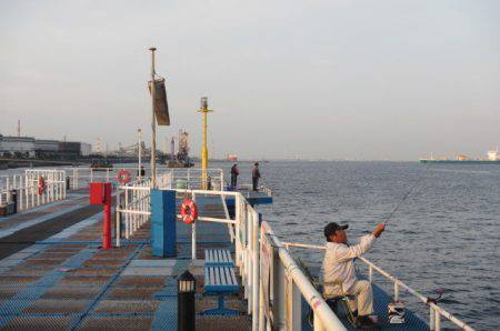 オリジナルメーカー海づり公園(市原市海づり施設) 釣果