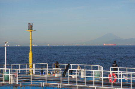 オリジナルメーカー海づり公園(市原市海づり施設) 釣果