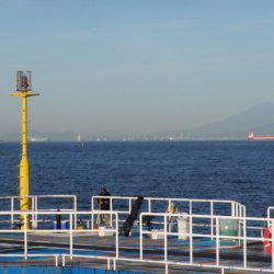 オリジナルメーカー海づり公園(市原市海づり施設) 釣果