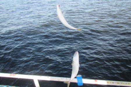 オリジナルメーカー海づり公園(市原市海づり…