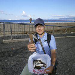 大阪南港海つり公園 釣果