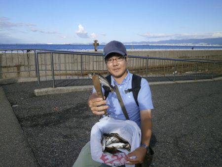 大阪南港海つり公園 釣果