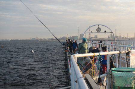 オリジナルメーカー海づり公園(市原市海づり施設) 釣果