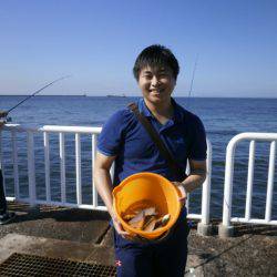 大阪南港海つり公園 釣果