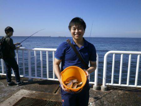 大阪南港海つり公園 釣果