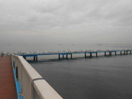 オリジナルメーカー海づり公園(市原市海づり施設) 釣果