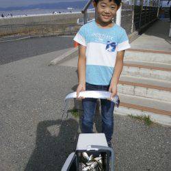 大阪南港海つり公園 釣果