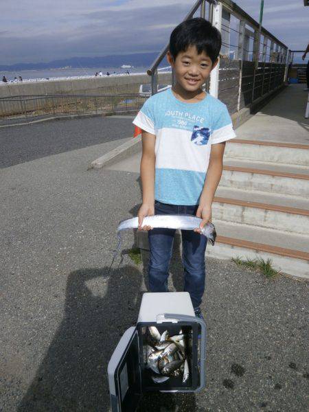 大阪南港海つり公園 釣果