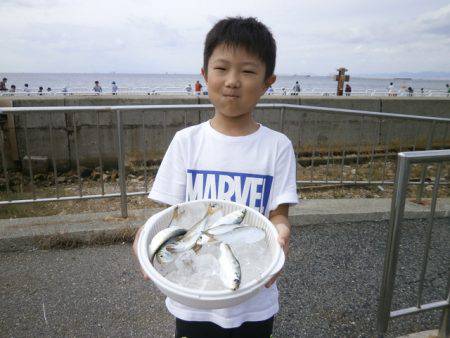 大阪南港海つり公園 釣果