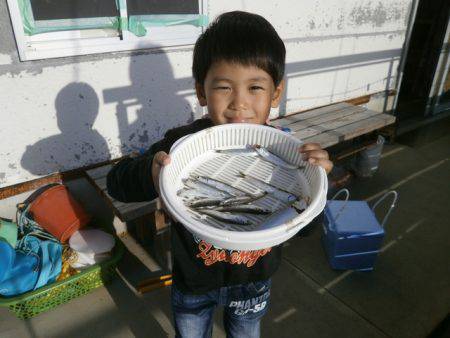 大阪南港海つり公園 釣果
