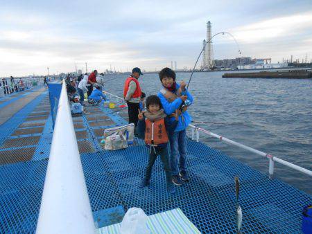 オリジナルメーカー海づり公園(市原市海づり施設) 釣果
