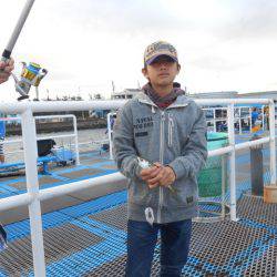 オリジナルメーカー海づり公園(市原市海づり施設) 釣果