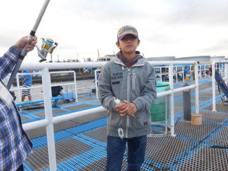 オリジナルメーカー海づり公園(市原市海づり施設) 釣果