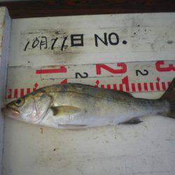 姫路市立遊魚センター 釣果