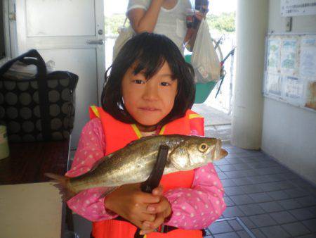 姫路市立遊魚センター 釣果