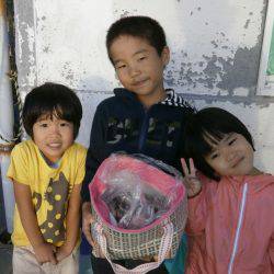 大阪南港海つり公園 釣果