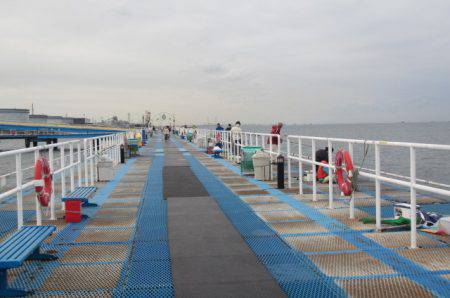 オリジナルメーカー海づり公園(市原市海づり施設) 釣果
