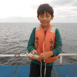 オリジナルメーカー海づり公園(市原市海づり施設) 釣果
