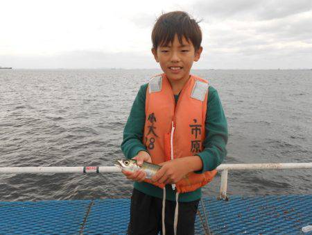 オリジナルメーカー海づり公園(市原市海づり施設) 釣果