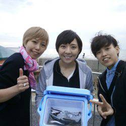 大阪南港海つり公園 釣果